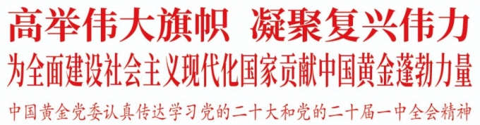 中國,黃金,黨委,認(rèn)真,傳達(dá),學(xué)習(xí),黨的,二十, . 中國黃金黨委認(rèn)真?zhèn)鬟_(dá)學(xué)習(xí)黨的二十大和黨的二十屆一中全會精神